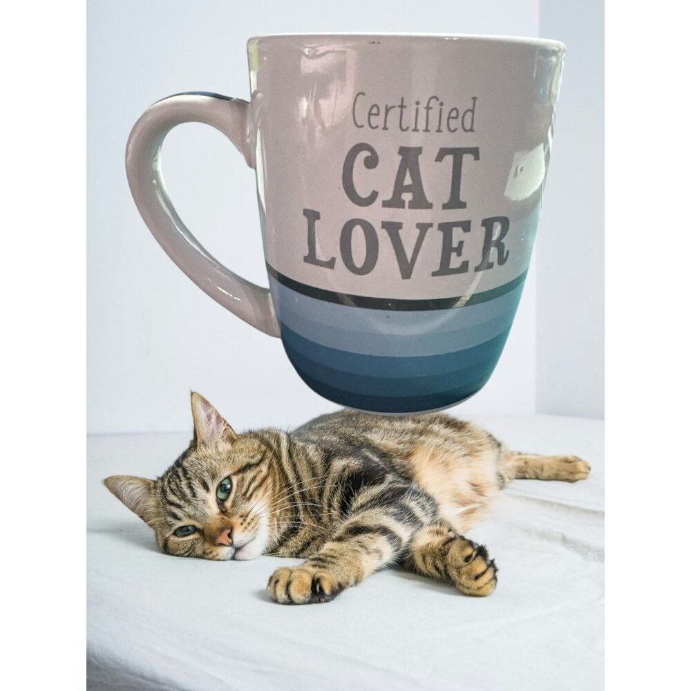 Certified CAT LOVER Mug – Blue Gradient Stripes, Classic Solutions Stoneware, Ca